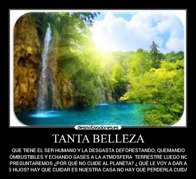 carteles lool desmotivaciones