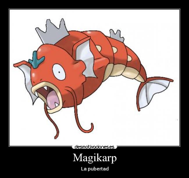 Magikarp - La pubertad