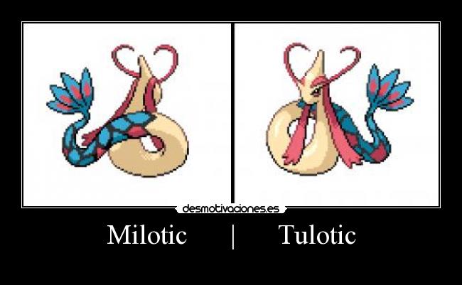 carteles pokemon posesion sprite espalda frente milotic tulotic lol agua hada feebas desmotivaciones