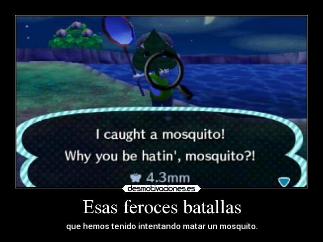 Esas feroces batallas - que hemos tenido intentando matar un mosquito.
