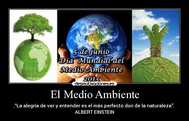 El Medio Ambiente - .“La alegría de ver y entender es el más perfecto don de la naturaleza”. 
ALBERT EINSTEIN
