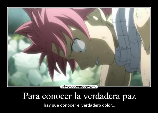 carteles anime manga fairy tale natsu para conocer verdadera paz hay que conocer verdadero dolor desmotivaciones