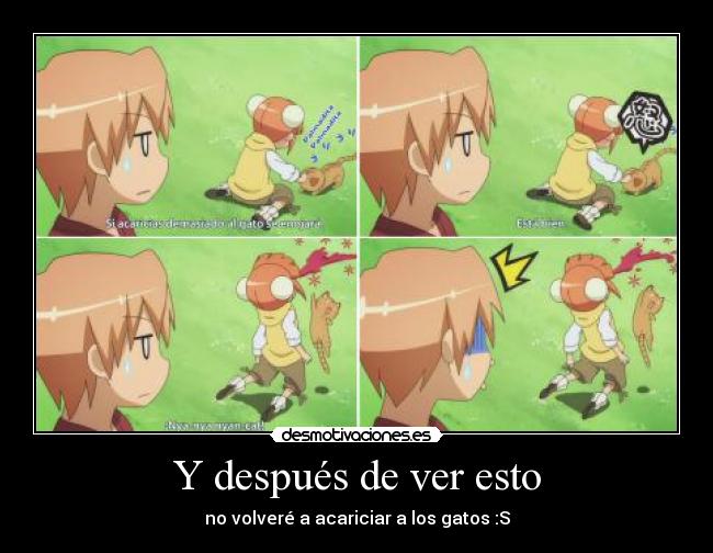 Y después de ver esto -