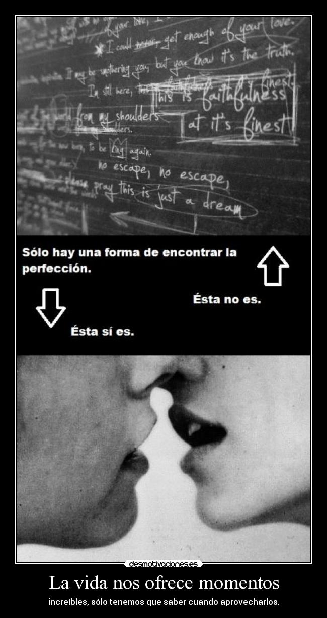 carteles vida siete desmotivaciones