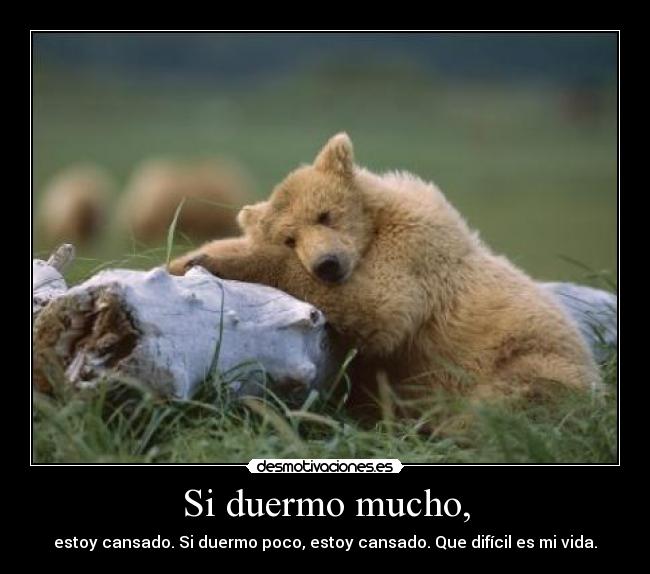 Si duermo mucho, -