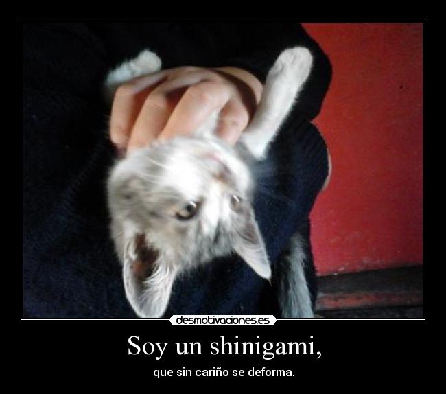 carteles gatos lindos tiernos shinigami pequenos desmotivaciones
