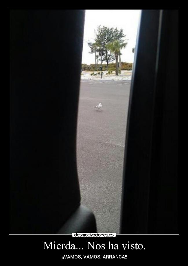 Mierda... Nos ha visto. - ¡¡VAMOS, VAMOS, ARRANCA!!