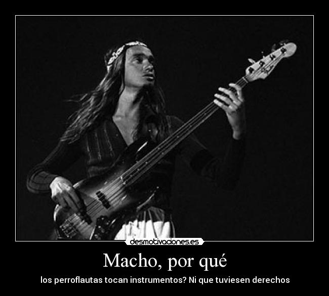 Macho, por qué - los perroflautas tocan instrumentos? Ni que tuviesen derechos