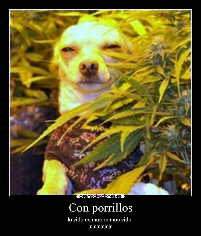 Con porrillos - la vida es mucho más vida. 
jsjsjsjsjsjs