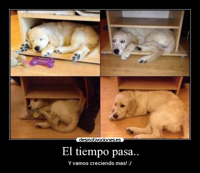 El tiempo pasa.. -