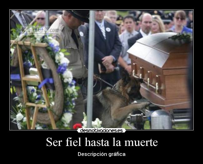 Ser fiel hasta la muerte - Descripción gráfica