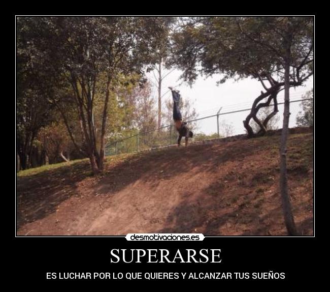 carteles metasagrenta desmotivaciones