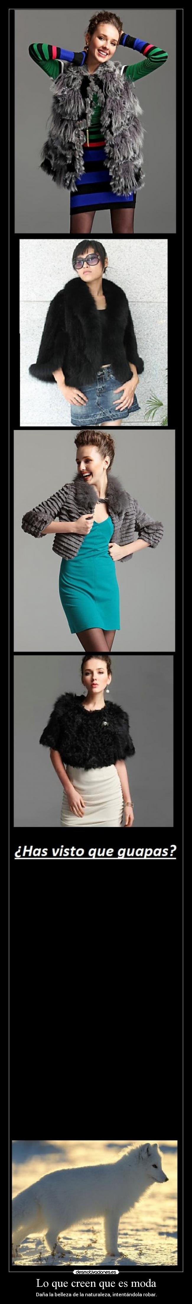 Lo que creen que es moda -