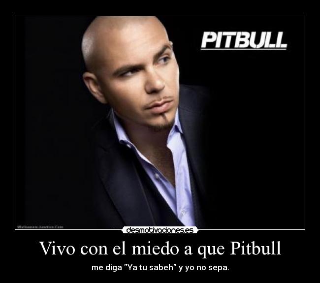 Vivo con el miedo a que Pitbull - me diga Ya tu sabeh y yo no sepa.