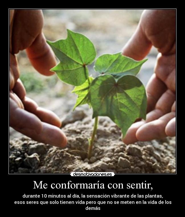 Me conformaría con sentir, - 