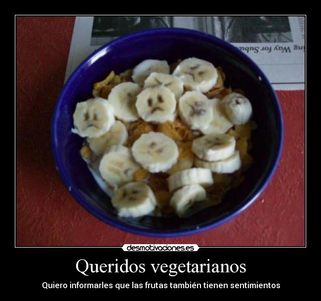 Queridos vegetarianos - 