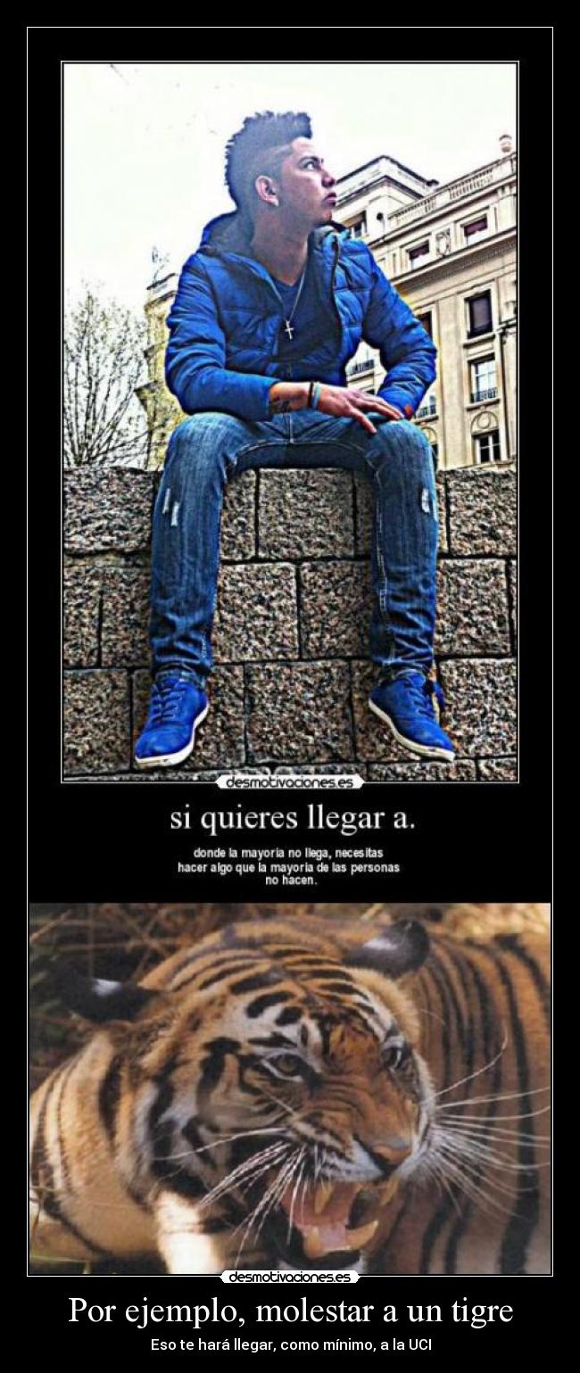 Por ejemplo, molestar a un tigre - Eso te hará llegar, como mínimo, a la UCI