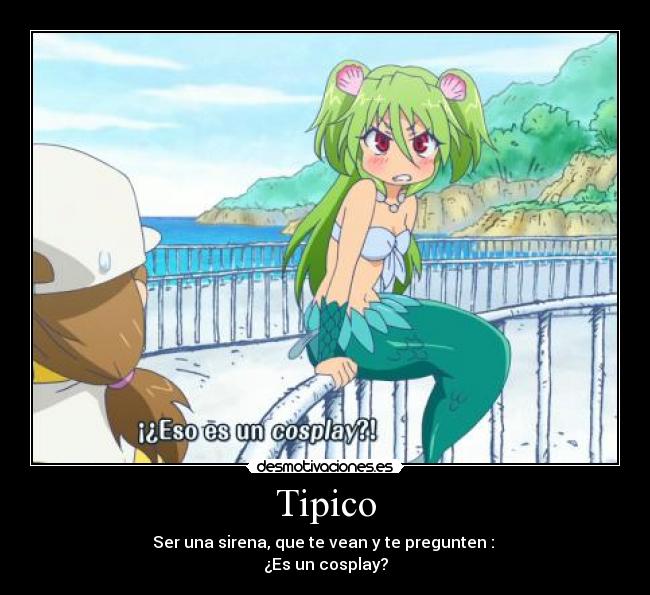 Tipico -