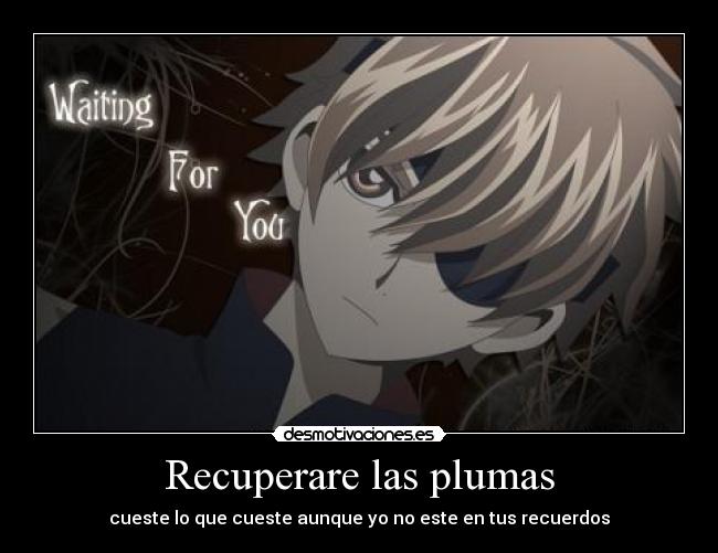 Recuperare las plumas - cueste lo que cueste aunque yo no este en tus recuerdos