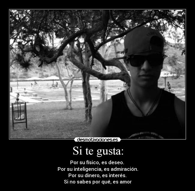 Si te gusta: - Por su físico, es deseo. 
Por su inteligencia, es admiración.
 Por su dinero, es interés. 
Si no sabes por qué, es amor