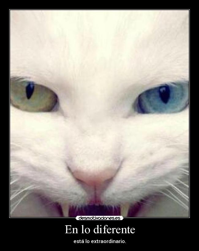 En lo diferente - está lo extraordinario.