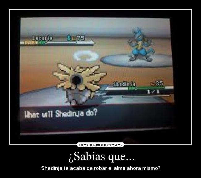 ¿Sabías que... - Shedinja te acaba de robar el alma ahora mismo?