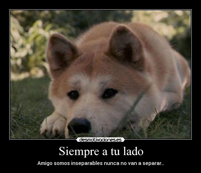 carteles amigo desmotivaciones