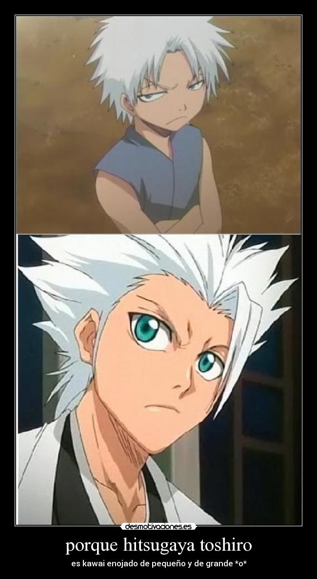 porque hitsugaya toshiro - 