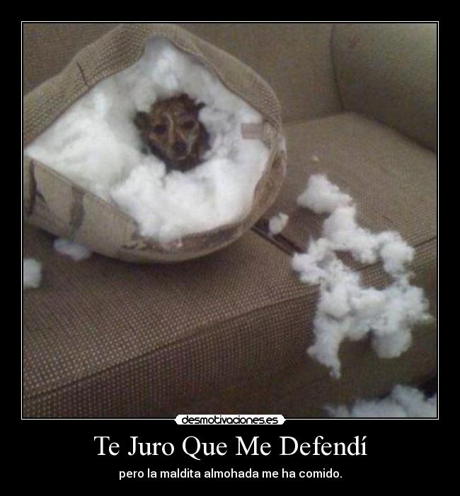 Te Juro Que Me Defendí - pero la maldita almohada me ha comido.