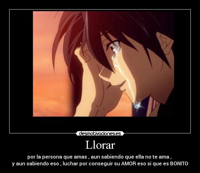 carteles llorar serverion desmotivaciones