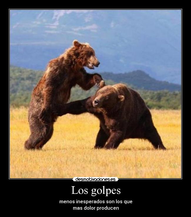 carteles doler desmotivaciones