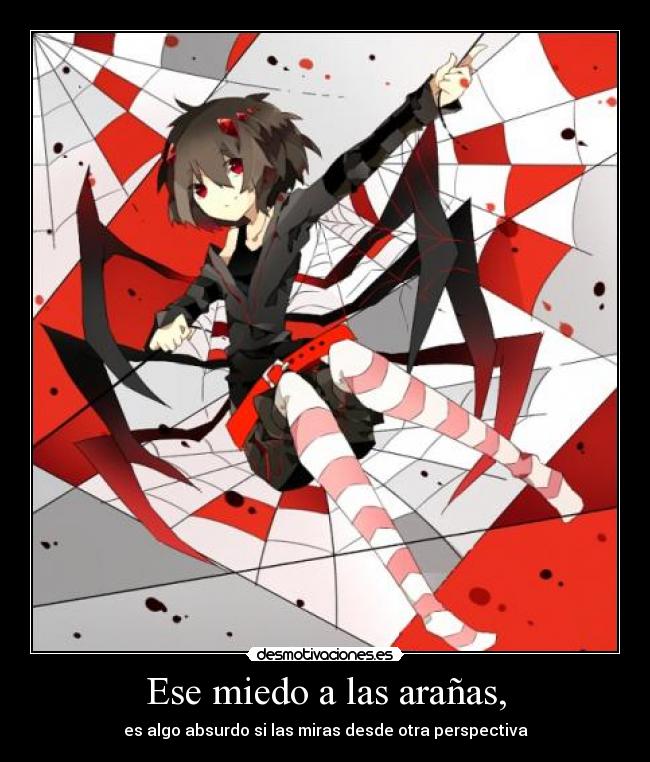 Ese miedo a las arañas, - es algo absurdo si las miras desde otra perspectiva