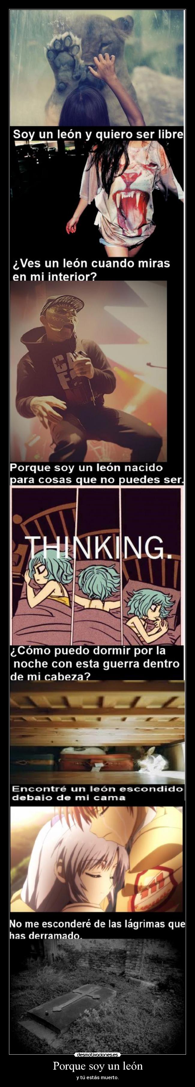 Porque soy un león - y tú estás muerto.