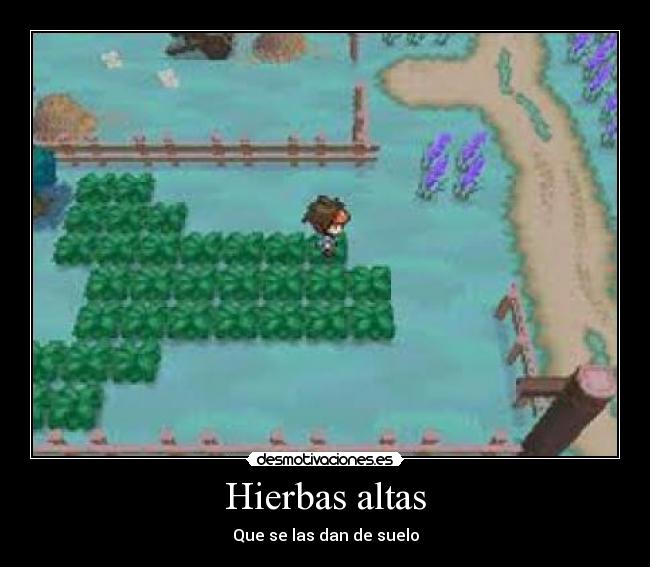 Hierbas altas - Que se las dan de suelo