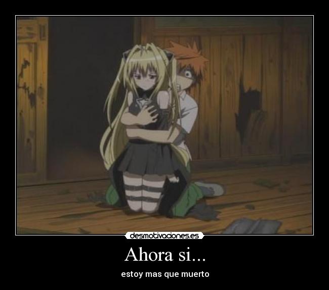 carteles love rito yuki oscuridad dorada echos reales accidentes ecchi pervertidos pechos desmotivaciones