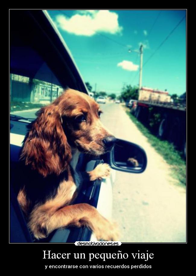 carteles viajes desmotivaciones