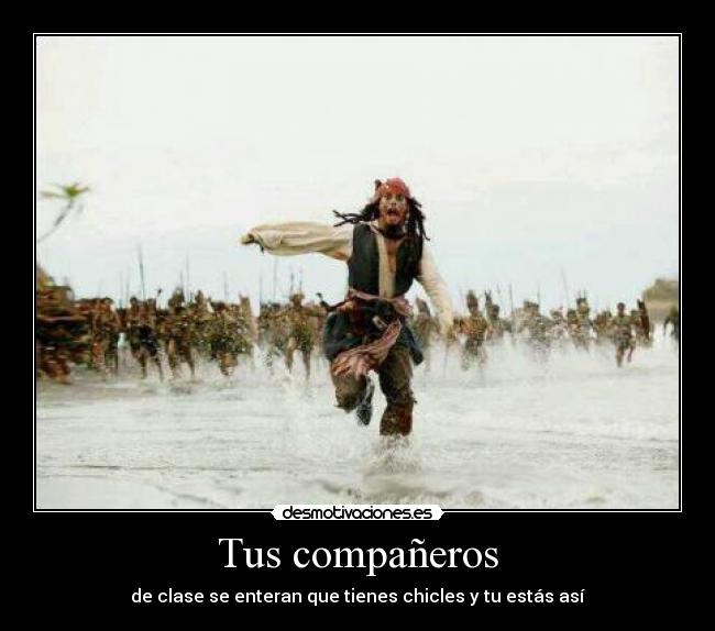 Tus compañeros - 
