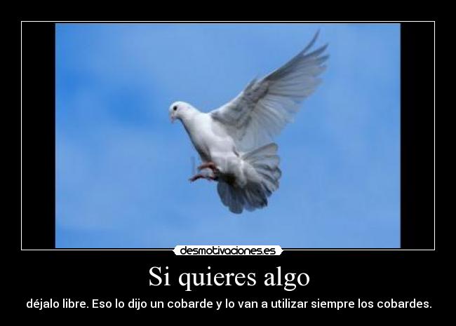 Si quieres algo - déjalo libre. Eso lo dijo un cobarde y lo van a utilizar siempre los cobardes.