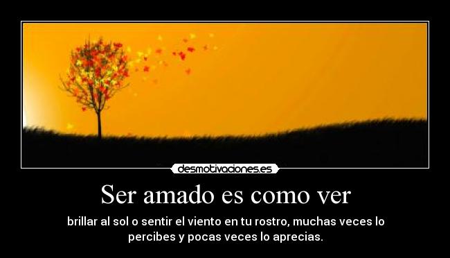 Ser amado es como ver - brillar al sol o sentir el viento en tu rostro, muchas veces lo
percibes y pocas veces lo aprecias.