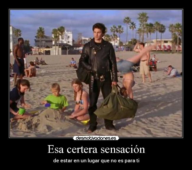 Esa certera sensación - 