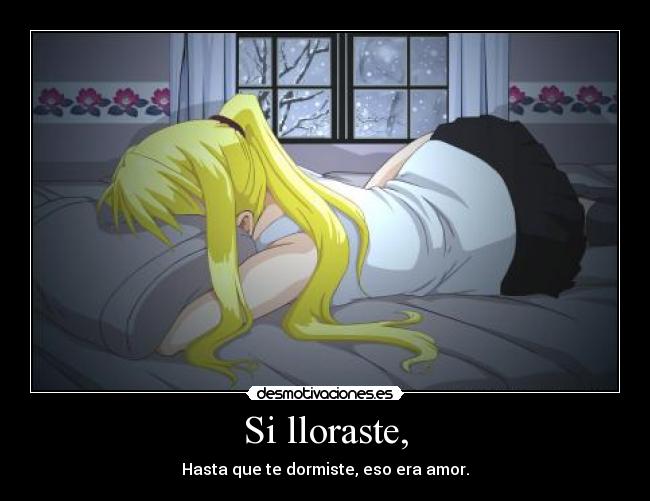 Si lloraste, - Hasta que te dormiste, eso era amor.