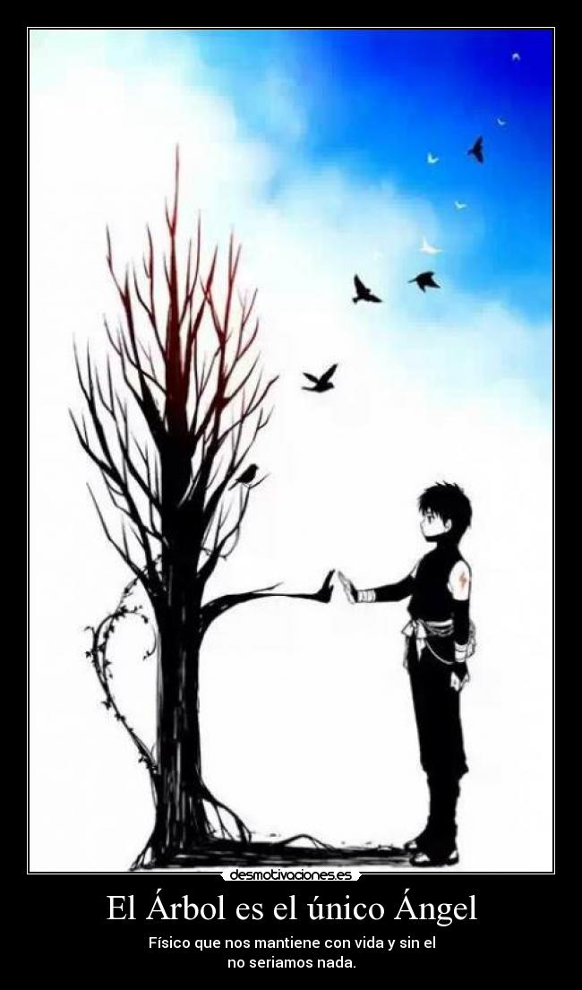 El Árbol es el único Ángel - Físico que nos mantiene con vida y sin el
no seriamos nada.