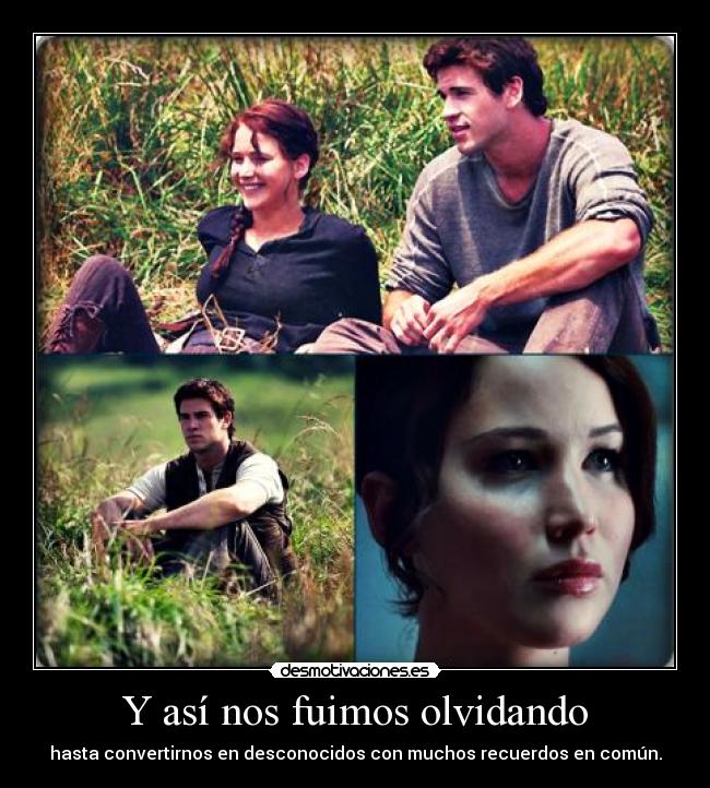 carteles losjuegosdelhambre katnisseverdeen gale desmotivaciones