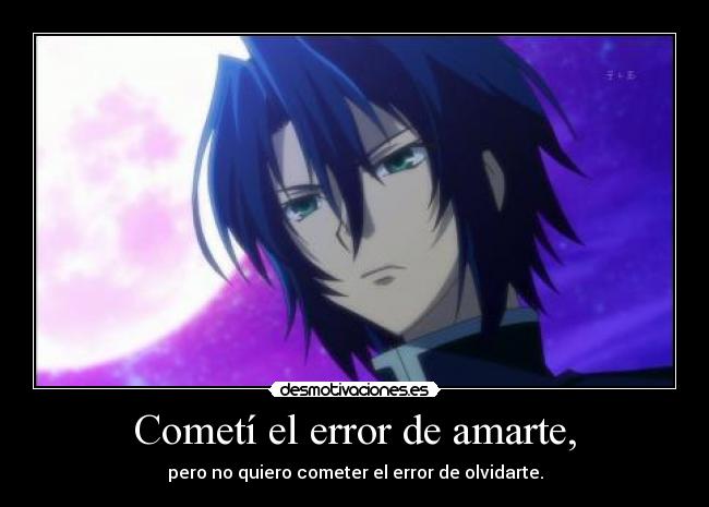 Cometí el error de amarte, - pero no quiero cometer el error de olvidarte.