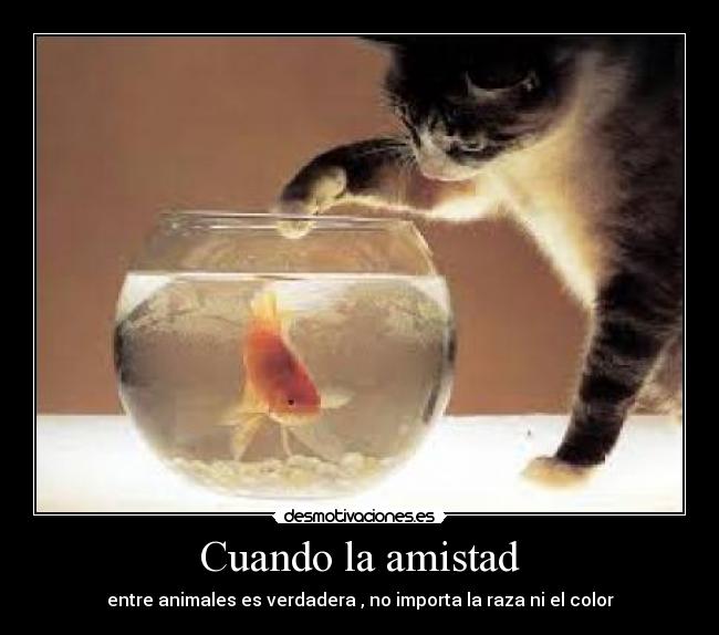 Cuando la amistad - entre animales es verdadera , no importa la raza ni el color
