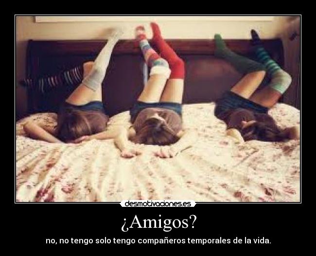 ¿Amigos? - no, no tengo solo tengo compañeros temporales de la vida.