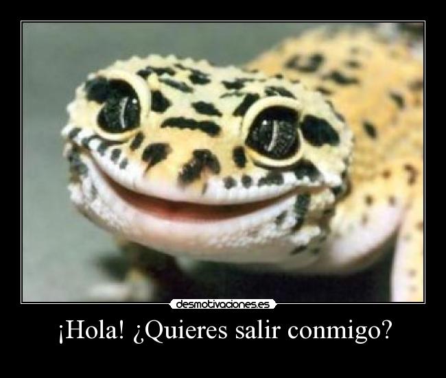 ¡Hola! ¿Quieres salir conmigo? - 