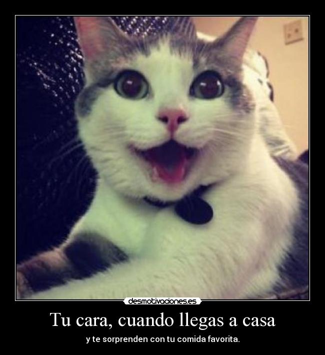 Tu cara, cuando llegas a casa -