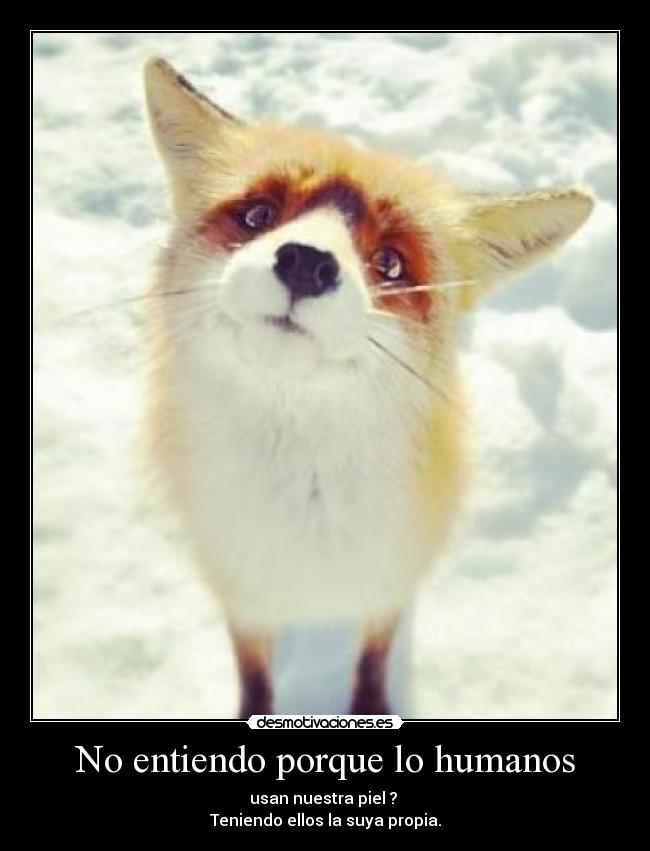 No entiendo porque lo humanos - usan nuestra piel ?
Teniendo ellos la suya propia.