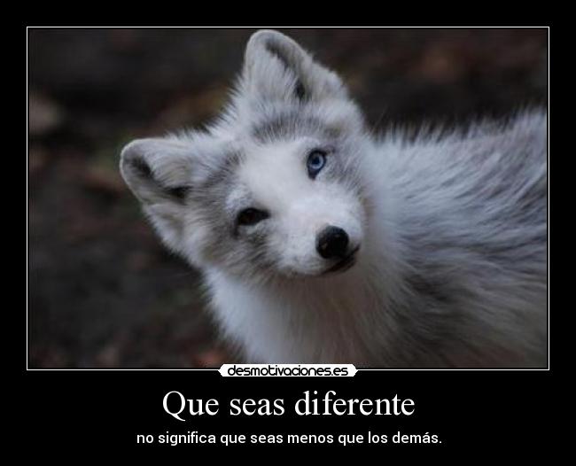 Que seas diferente - no significa que seas menos que los demás.